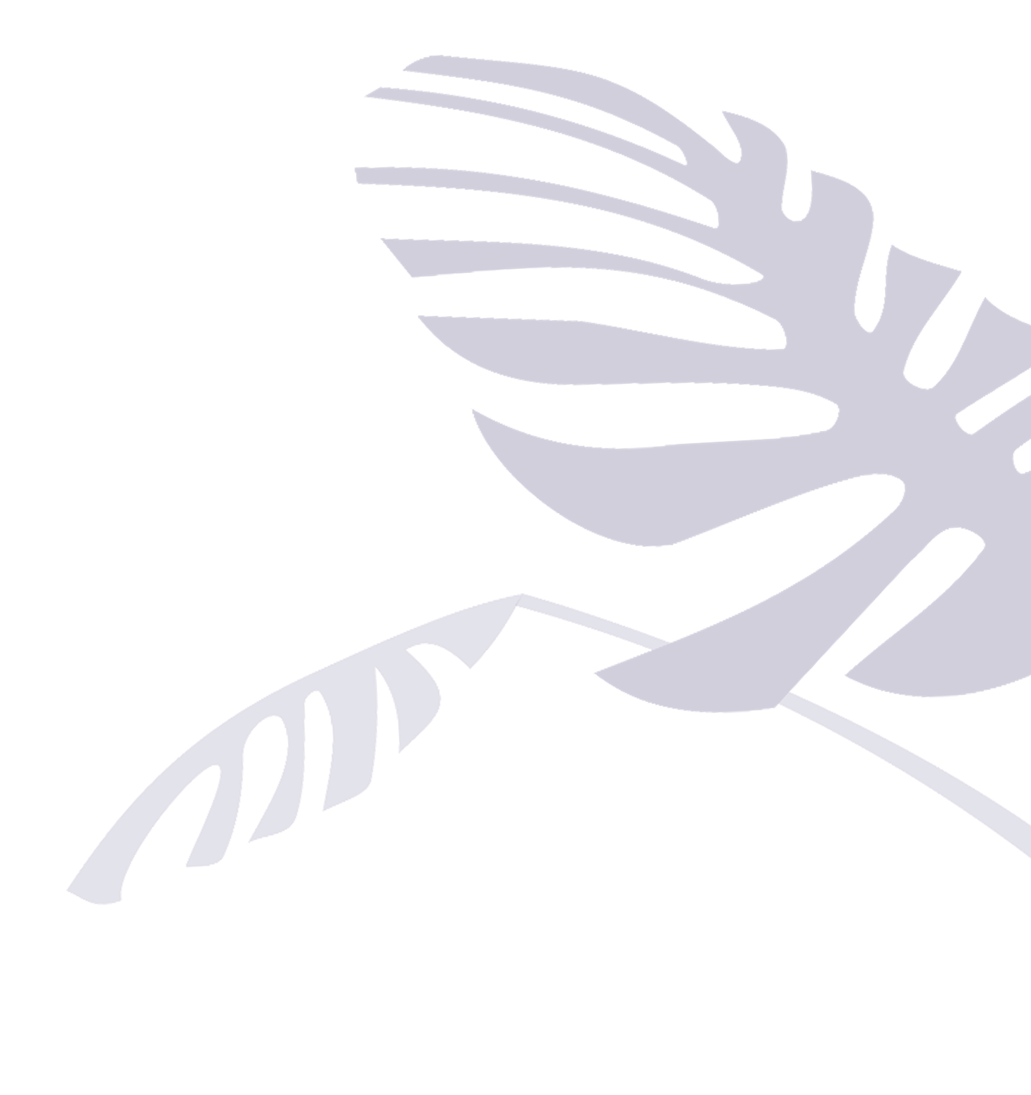 plantes_angle